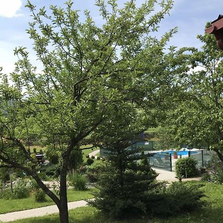 Apartments San - With Pool; Rakovica Exterior photo
