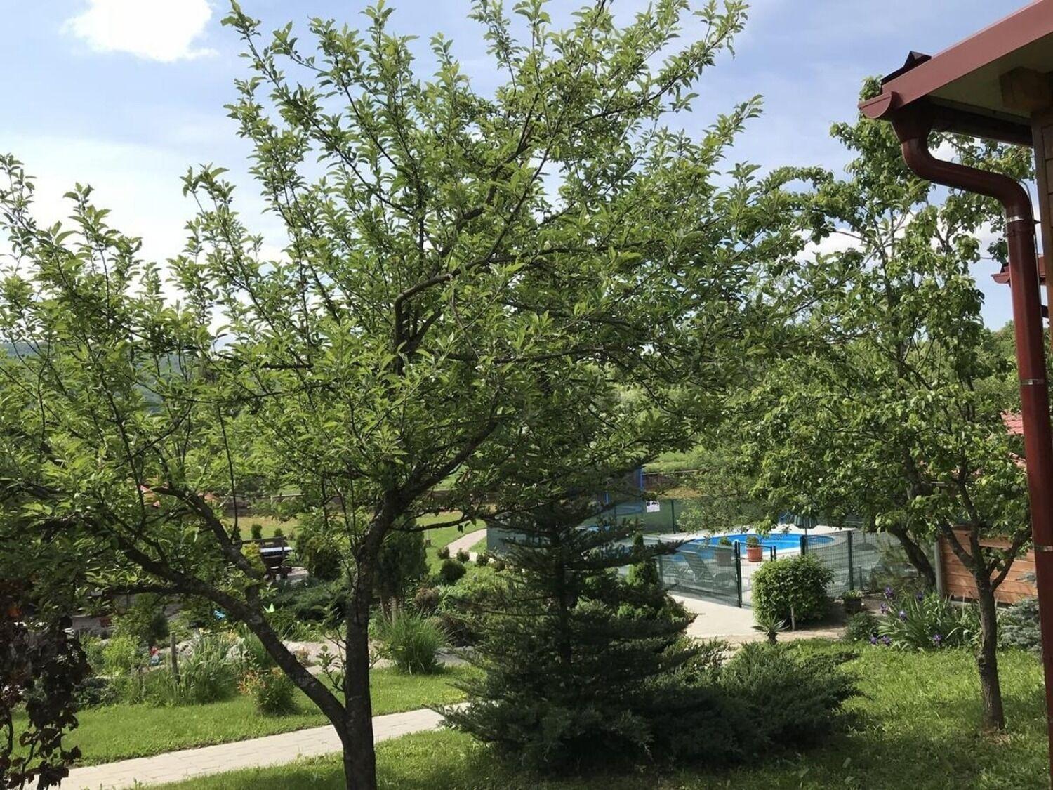 Apartments San - With Pool; Rakovica Exterior photo